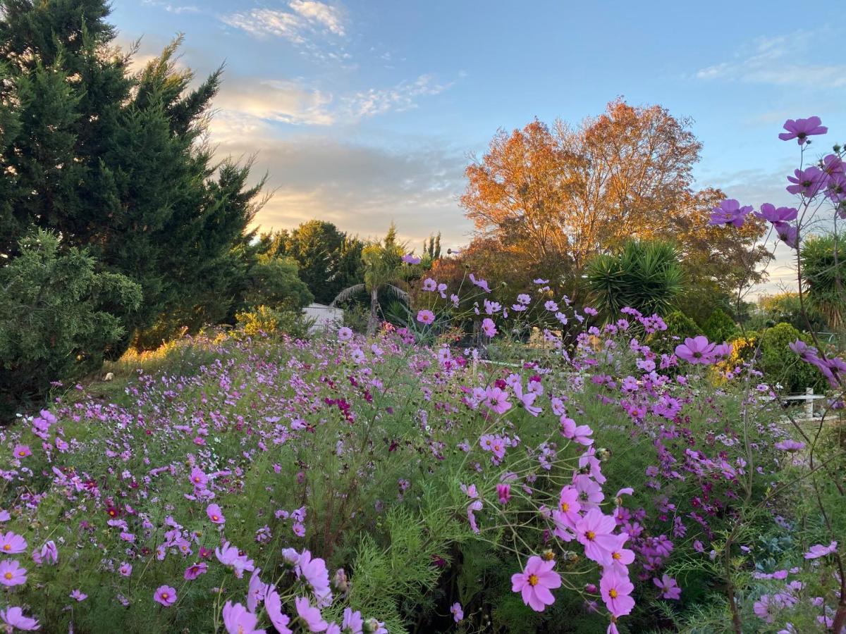 Melbourne Garden Bed&Breakfast Melton Exterior foto